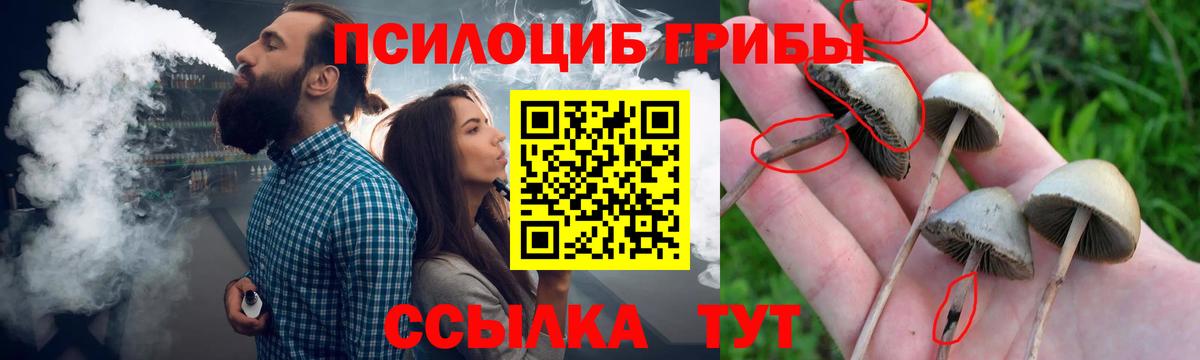 Псилоцибиновые грибы Cubensis Кувандык